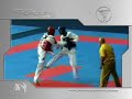 Taekwondo