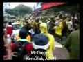 video punca kereta pdrmsia terbabas kerana dibaling tanpa henti dengan objek merbahaya dan monyet melompat atas kereta