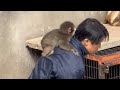 【8月28日】12時の給餌タイム！飼育員さん2名に動物たちが大集合🐒✨#市川市動植物園 #給餌タイム #動物園 #動物 #ニホンザル