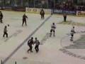 ECHL Minor League Hockey Fight