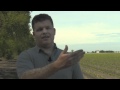 Why Does This Family Farmer Care About Your Food?