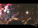 The Flaming Lips: 