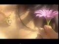 Hi?n Ch??ng Y�u - ?inh Ng?c