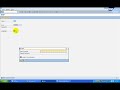 SAP Logon and Logoff