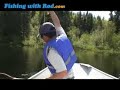 Understanding brook trout