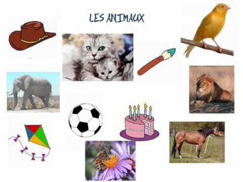 Image de prévisualisation YouTube