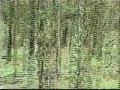 Tropas del ejercito  en Chiapas 1995