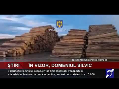 În vizor, domeniul silvic