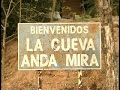 Jalpatagua