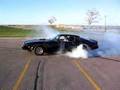 Trans-am-burn-out