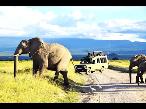 Kenya's Untamed Beauty with Bintu 