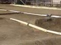 Nitro Truck & RC Highlights