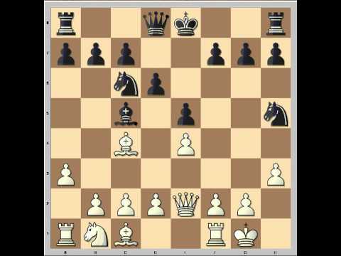 chess computer