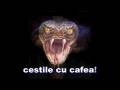 CALIN POPESCU TARICEANU - VIPERA VENINOASA - HOTUL ROMANILOR !