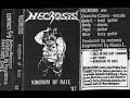 Necrosis - Fall In the Last Summer [Demo]