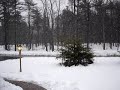 Springtime In Maine