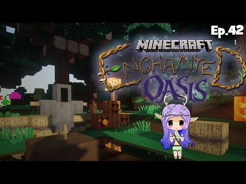 how to pumpkin patch