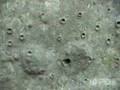 Caucasian Dolmens