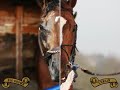There Can Only Be One: Big Brown and Curlin There Can Only Be One: Big Brown and Curlin