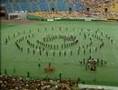 Sacramento Freelancers Drum and Bugle Corps 1982