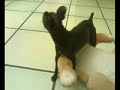 SEX DOG XXX