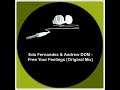 Edu Fernandez & Andrew DDM Free Your Feelings Original Mix.mp4
