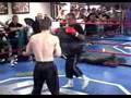 Hatton Training