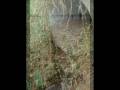 videos de A Represa Billings