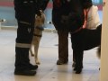 Erster Brunner Hundefrühshoppen - Wirtschaftsbund und ÖVP Brunn am Gebirge
