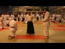 Max Gold Medal fight Judo 2008
