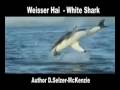 Weisser Hai White Shark Fische Fish Animals Natur SelMcKenzie Selzer-McKenzie