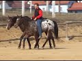 Unity & Passion - Feb 2008 - Part 2 - M. Grohmann