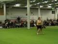 videos de Heelwork To Music (HTM) MyDog 2009 Erika & Willow