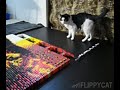 Flippy + Sparta