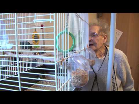 how to provide dignity in care