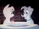 Videos Romanticos