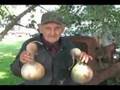 Antique Archaeology, Pickin' America - Pickin Video