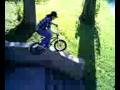 d-town bmx