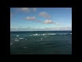 Mr. Chris Pirillo in Hawaii ~ Isn't Hawaii Beautiful?