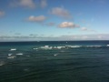 Isn-t-this-Hawaiian-