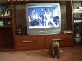 Sarge-Watching SNL with Will Forte & Michael Phelps Sarge-Watching SNL with Will Forte & Michael Phelps