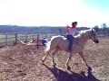 Jump bareback no hands Jump bareback no hands