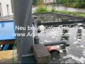 Video ansehen