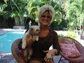 Getting Ready 35.3: The Rum and Pups with Nancy Ross Webisode Getting Ready 35.3: The Rum and Pups with Nancy Ross Webisode