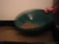 Gold Panning with Felix pay dirt JACKPOT 2007
