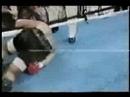 of Fighters