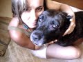 pit bull atacando pit bull atacando