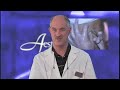  MESODERM VELASHAPE laserlift nonsurgical