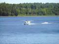 videos de 172 Floatplane Landing French River