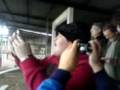 videos de Cheltenham away at Hereford